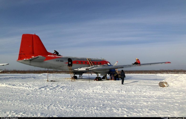 Фото на природе