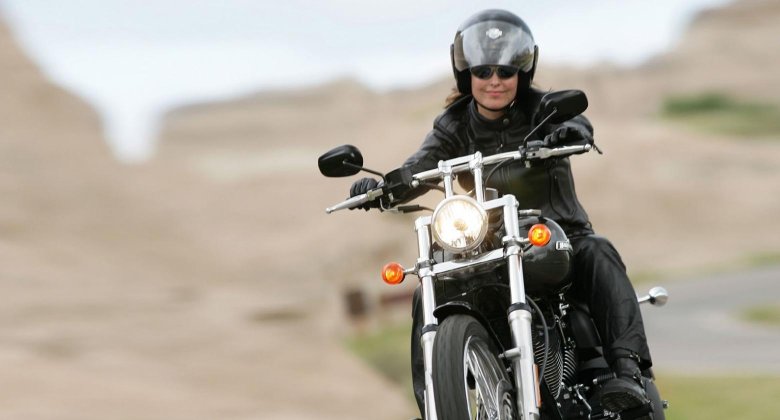 Harley Davidson Heritage Softail 2006