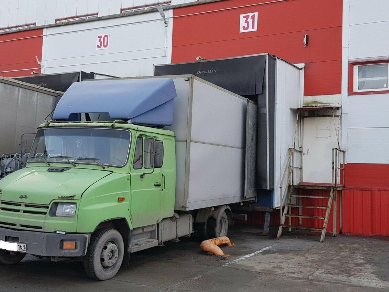 Фото камер наблюдения