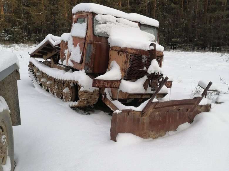 Фото на природе