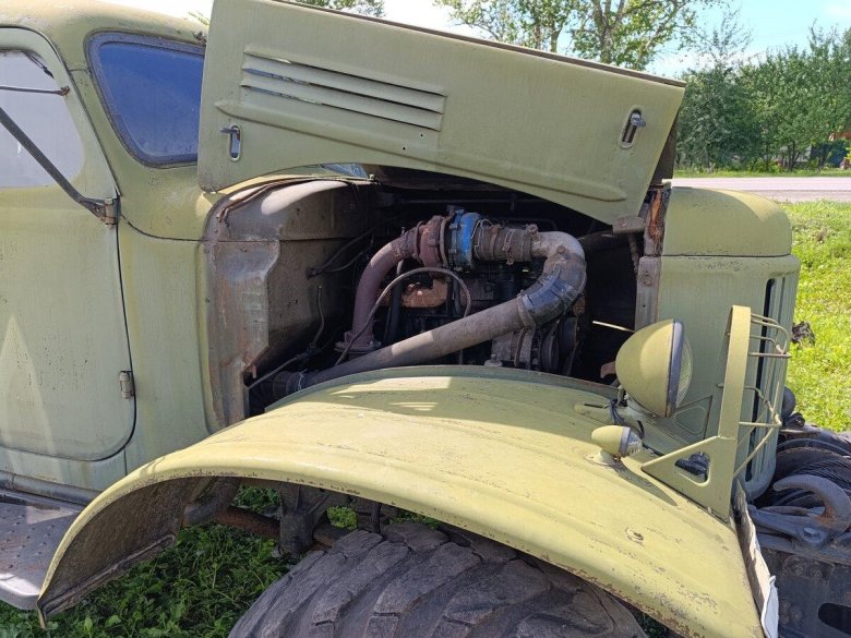 Растительность