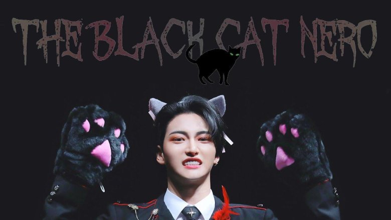 Хонджун the Black Cat Nero