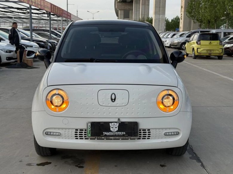 Mitsuoka ryoga i (p11)