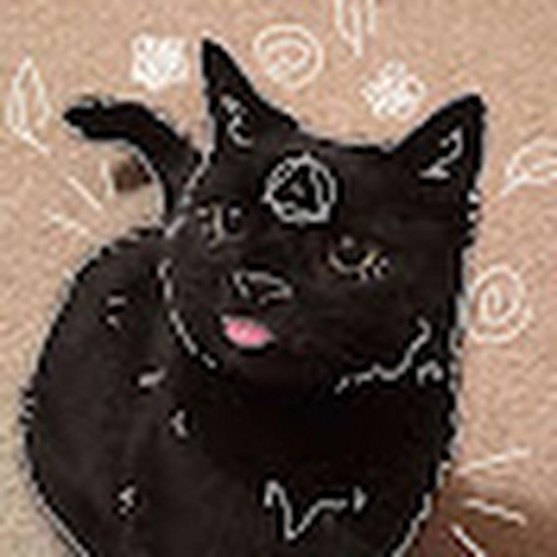 Идеи для масок квадробики кошка