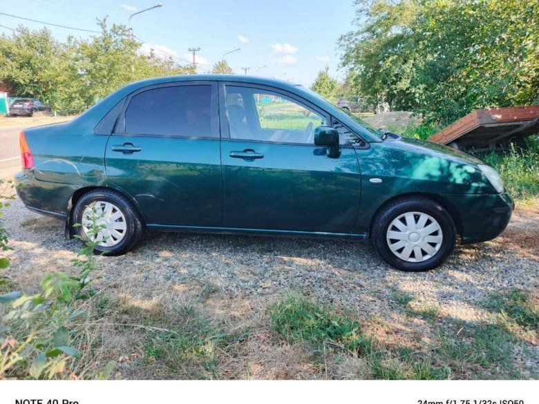 Сузуки лиана зеленая