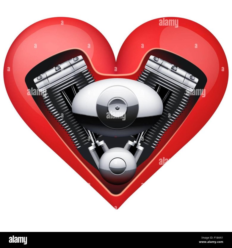 Сердце мотор