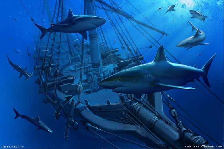 Подводный мир акулы
