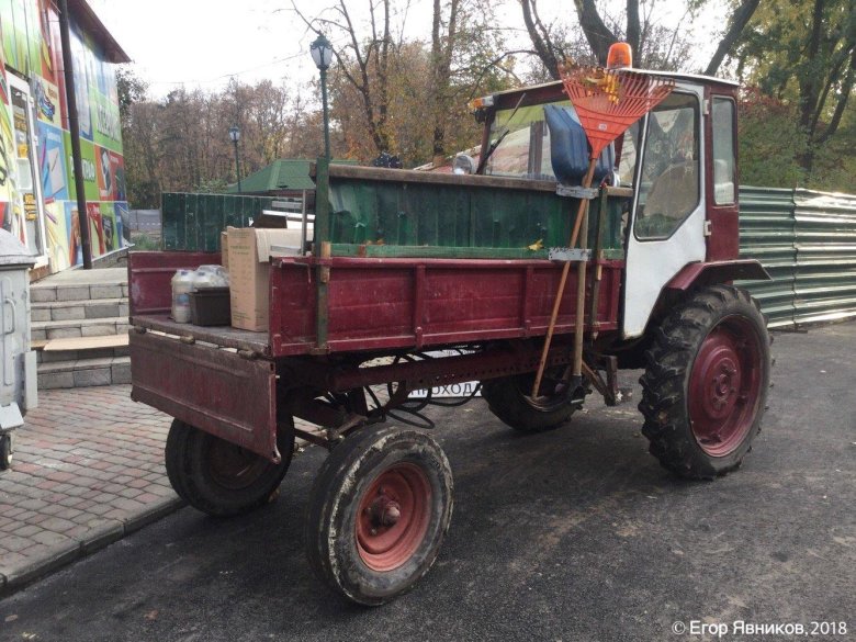 Растительность