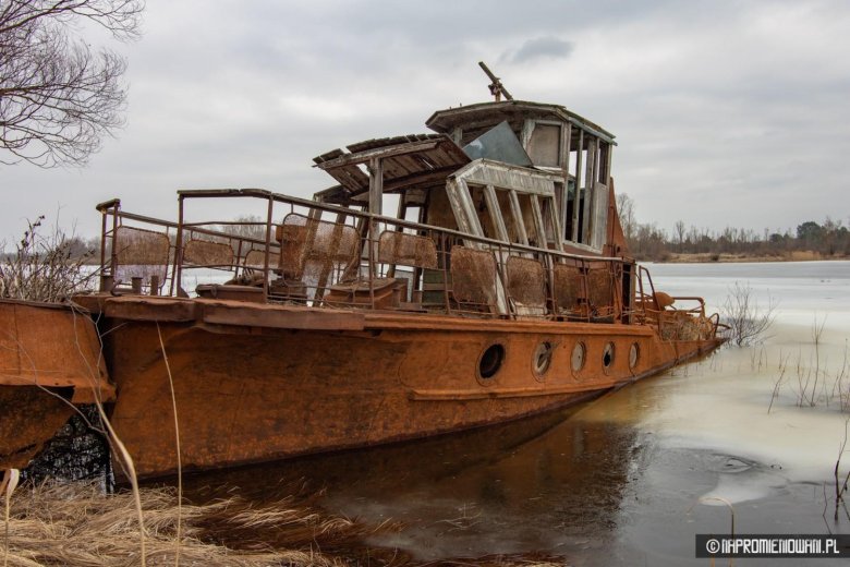 Фото на природе