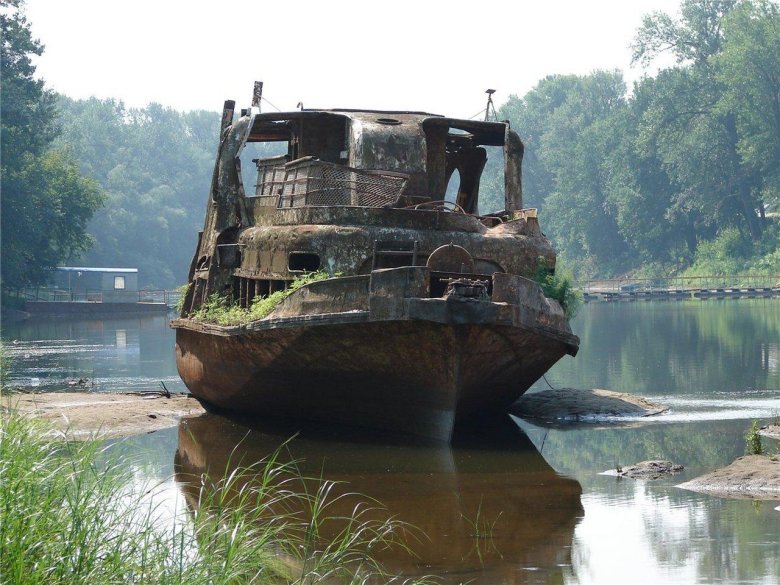 Фото на природе