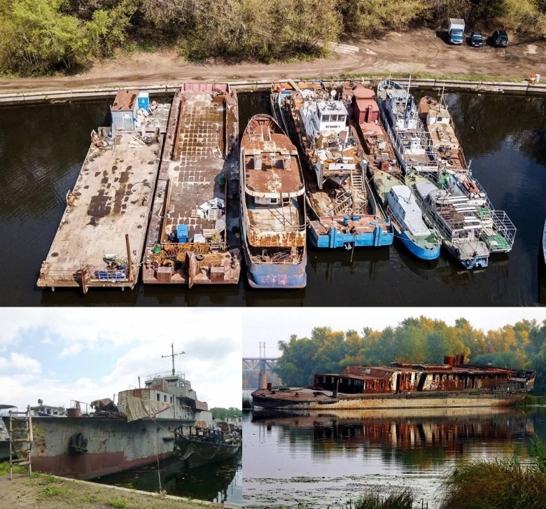 Фото на природе