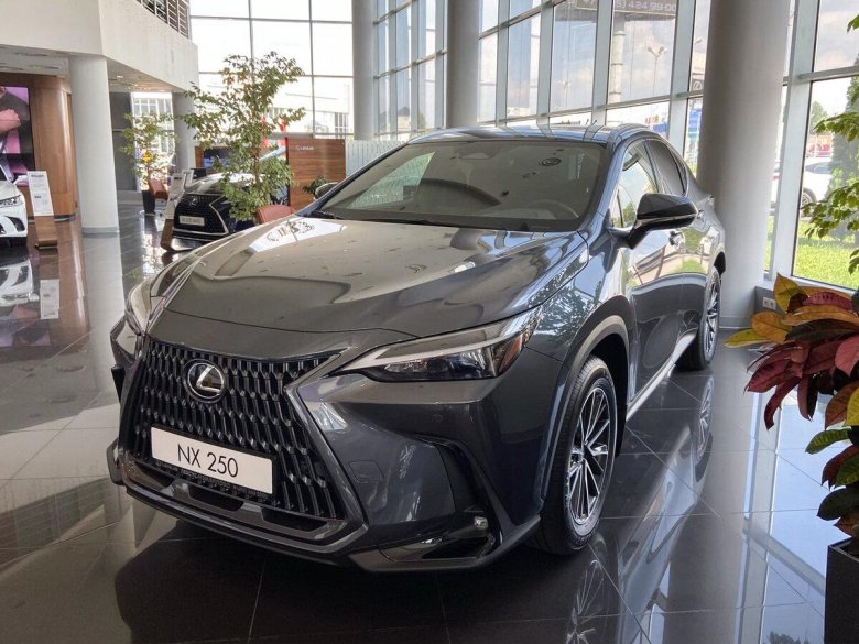 Lexus NX 250 2022