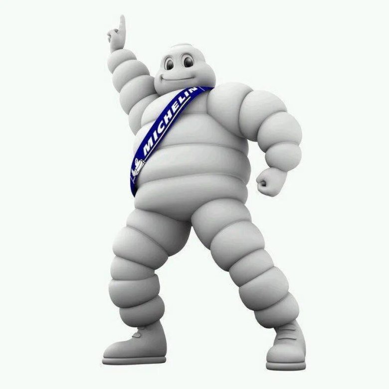 Шины Michelin Маскот