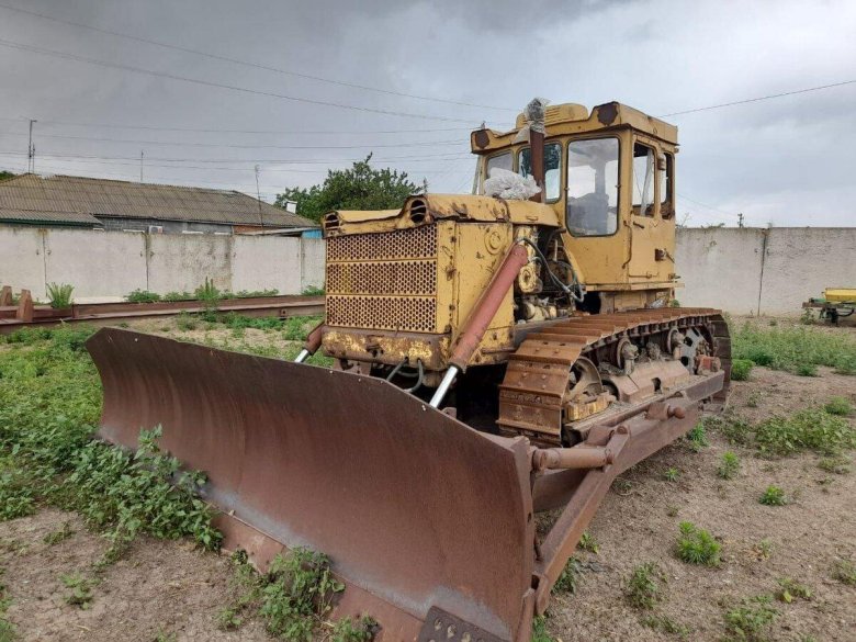 Растительность