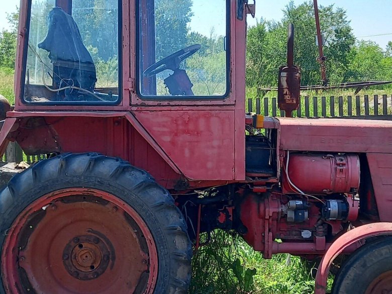 Растительность