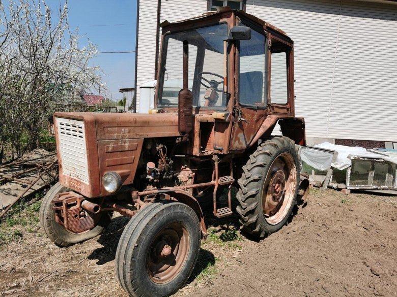 Растительность