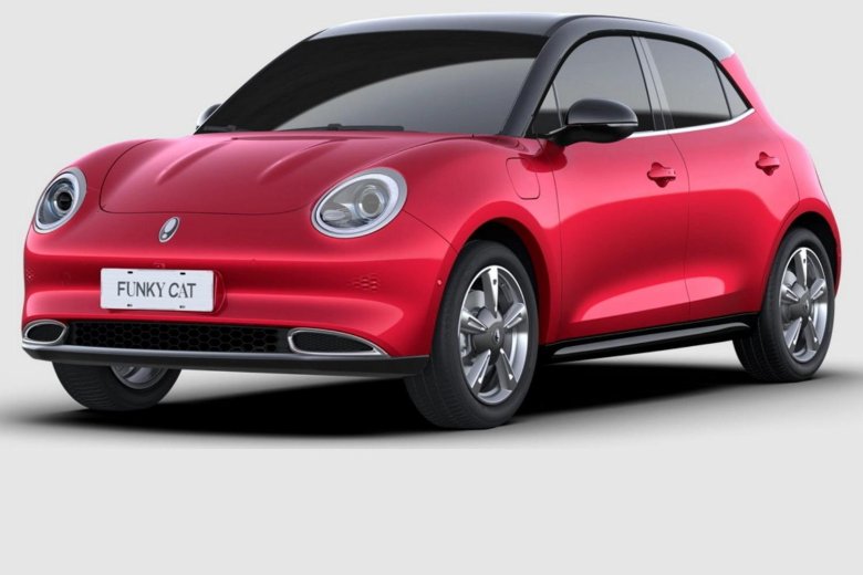 Ора Фанки Кэт