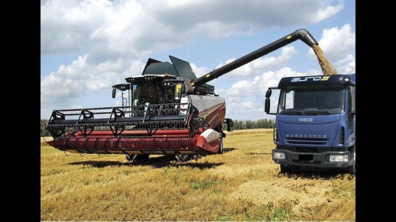 Растительность