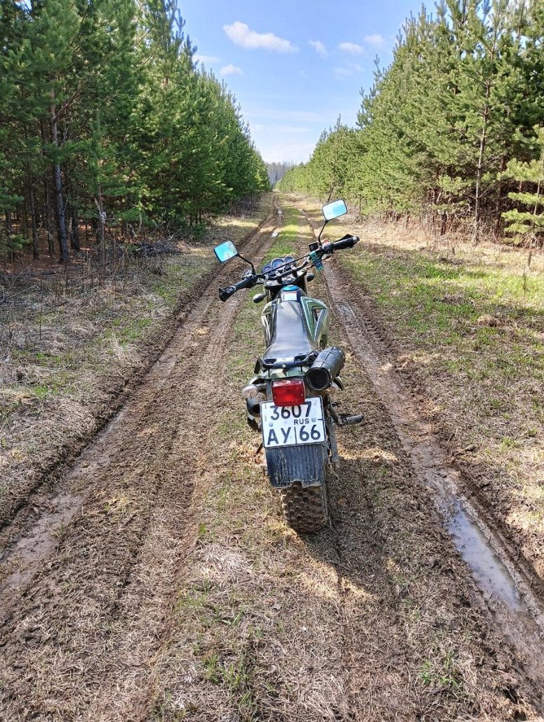 Фото камер наблюдения