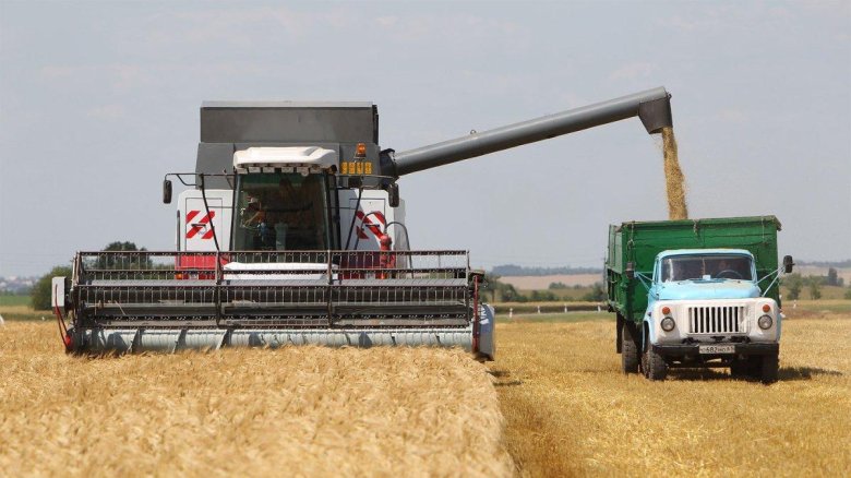Комбайн убирает зерно