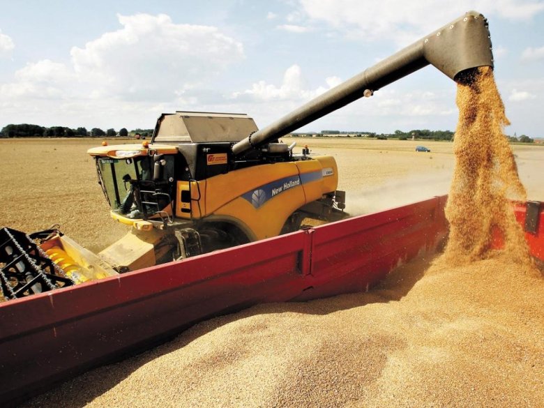 Погрузка зерна