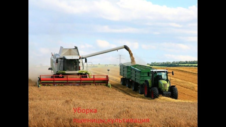 Комбайн в поле