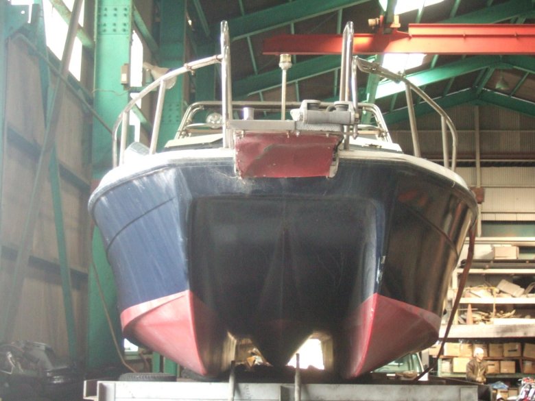 Тримаран сани Фокса