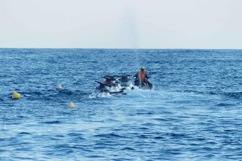 Яхта и дельфины