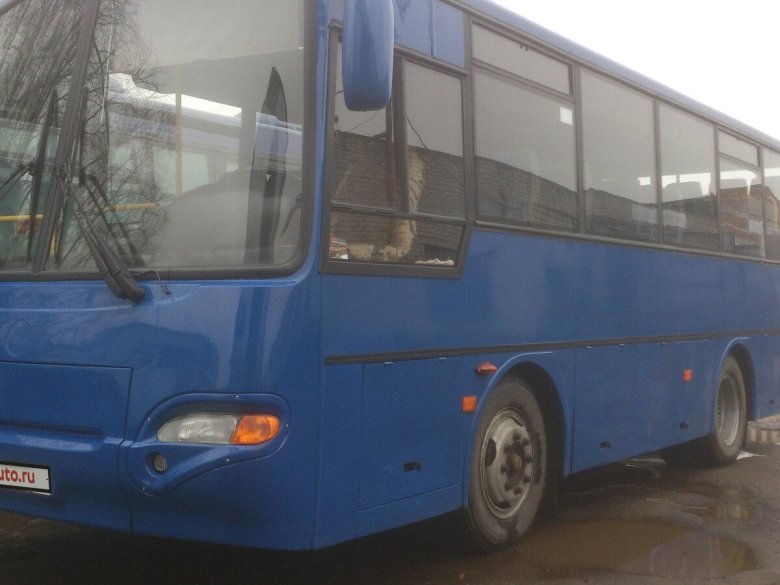 ПАЗ-4230 «Аврора»