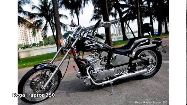 Regal Raptor dd50e Custom