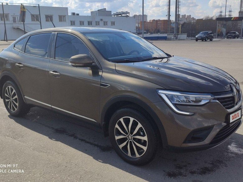 Аркана коричневая фото