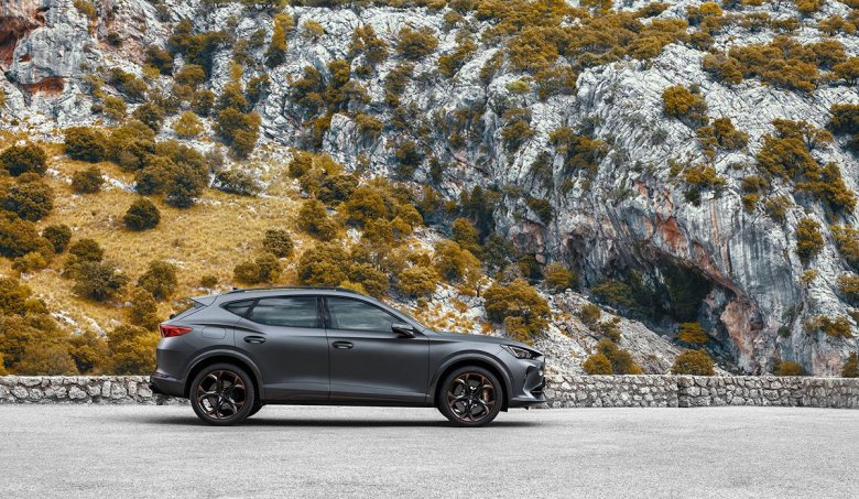 Купра Форментор