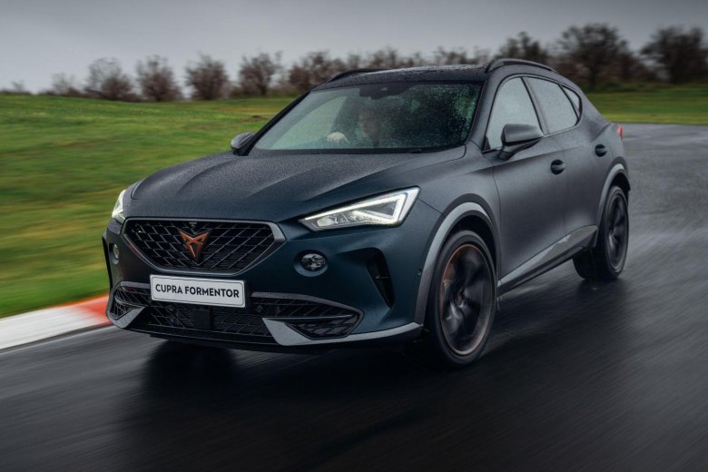 Купра Форментор серый