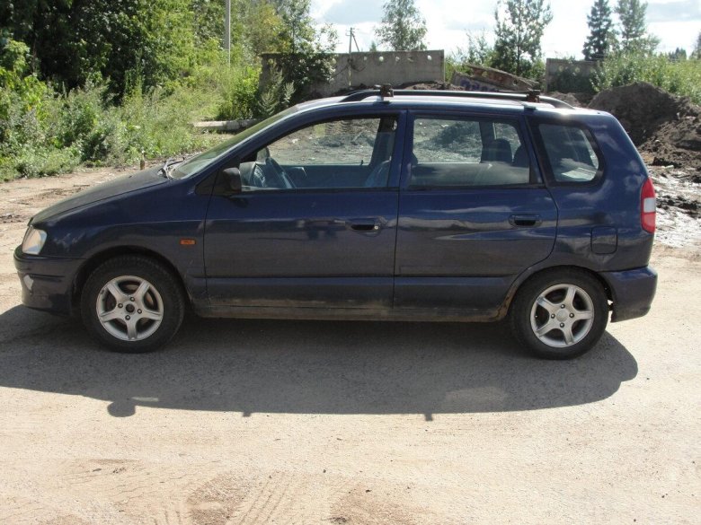 Комнатное растение