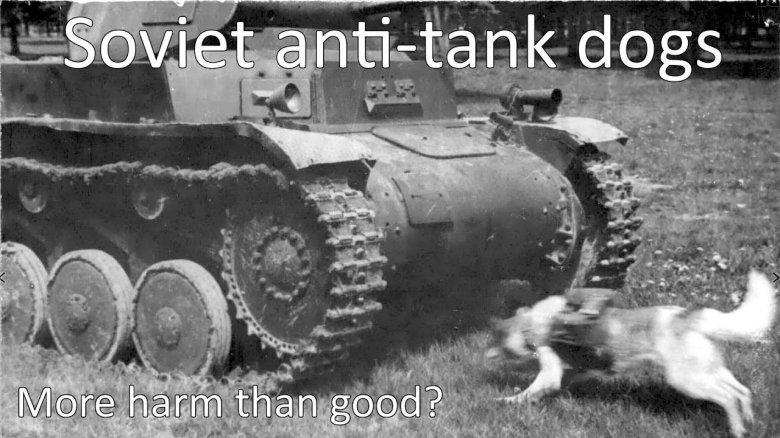 Собаки истребители танков на войне