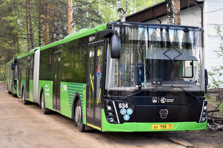 Тюменская область лиаз 6213 65