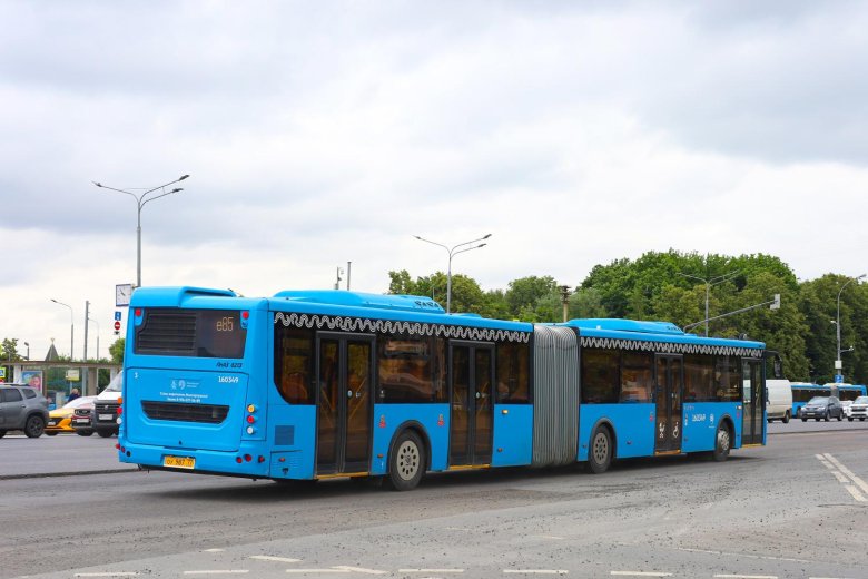 Автобус лиаз 6213