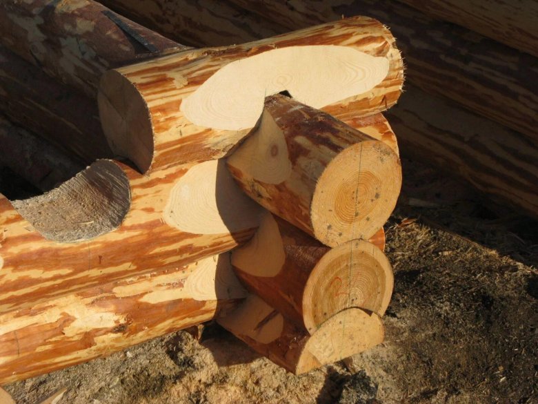 ОЦБ канадский ПАЗ