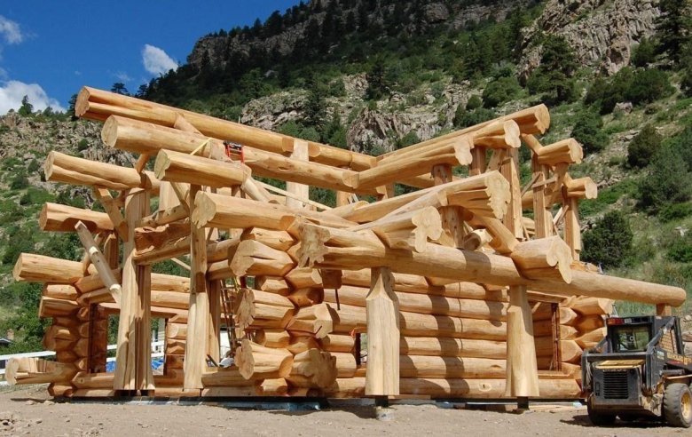 Кело канадский кедр