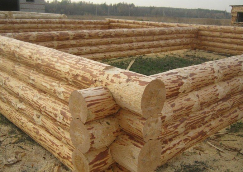 Сруб в чашу