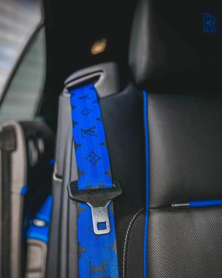 Ремни безопасности Луи Виттон