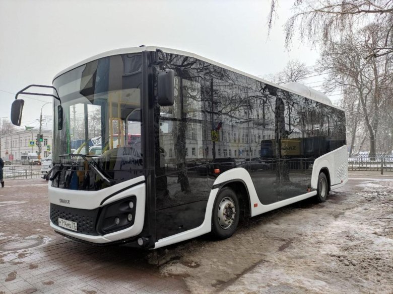 Новые автобусы 2025