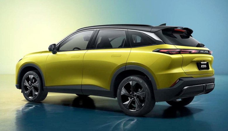 Baic x 55