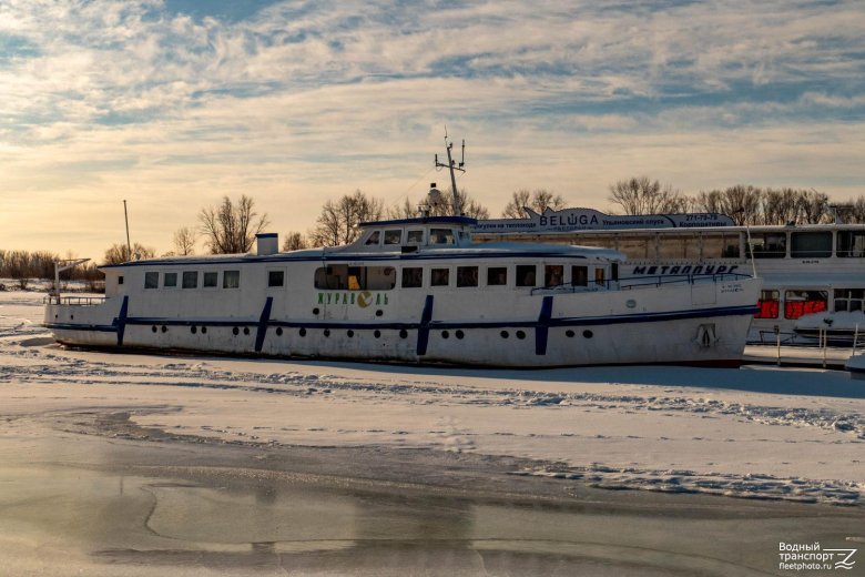 Теплоход Журавель Самара