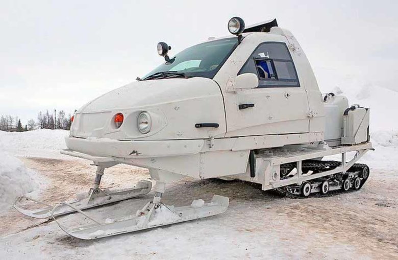 Снегоход ттм 1901 беркут 2
