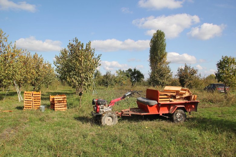 Мотоблок в деревне