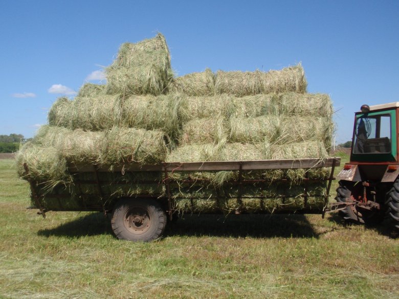 Пресс-подборщик (0850/8050)