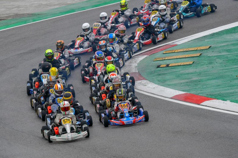 Арт Инглс картинг