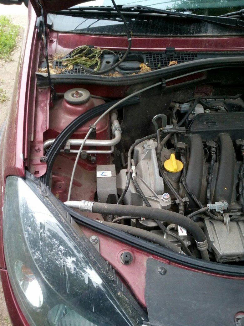 Моторный отсек Рено Логан 1.4