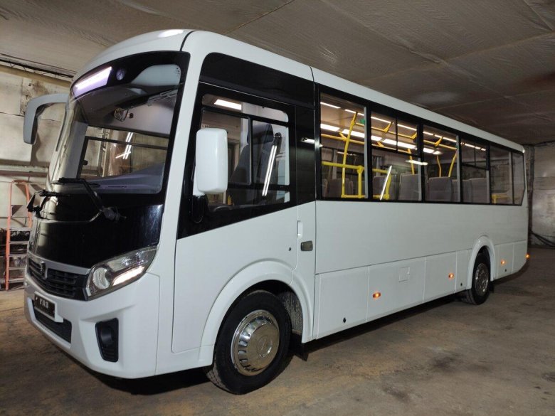 Паз вектор некст 8